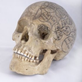 Museo di Anatomia Umana “Filippo Civinini”